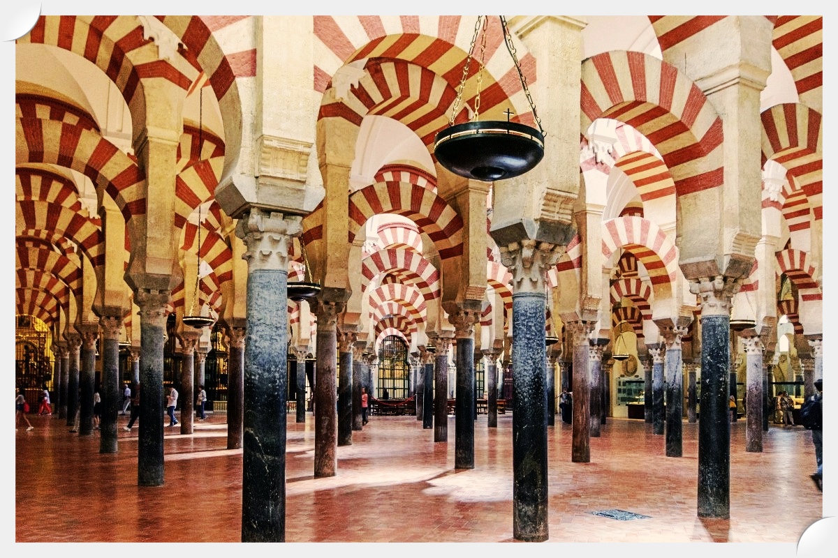 Al-Ándalus, un oasis para el mirlo&nbsp;negro